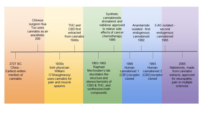 THE DISCOVERY OF THE ENDOCANNABINOID SYSTEM - CENTURIES IN THE MAKING
